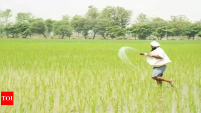 Uttar Pradesh: Deficient rain threatens kharif crop