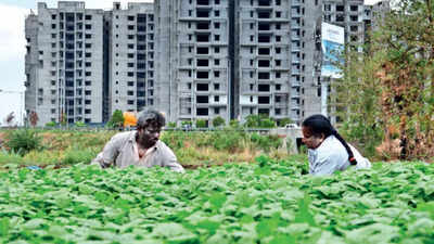 Real estate biz eating into farm lands in Vizag