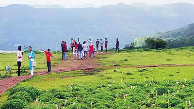 Maharashtra: Kaas plateau ‘day’ safari to open for public from August 1
