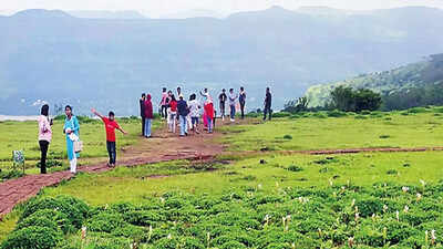 Maharashtra: Kaas plateau ‘day’ safari to open for public from August 1