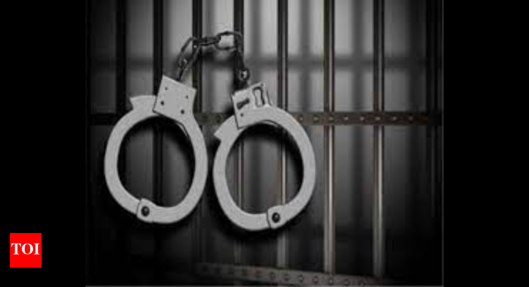 7 Gujarat students trying to enter US illegally held by immigration ...