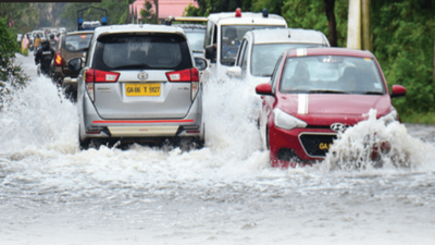 Goa: Even with this long dry spell, July rain easily surpassed normal mark