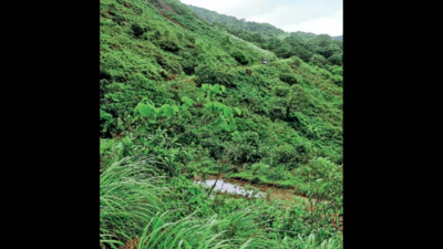 Kochi: Forest grows back as people relocate en masse