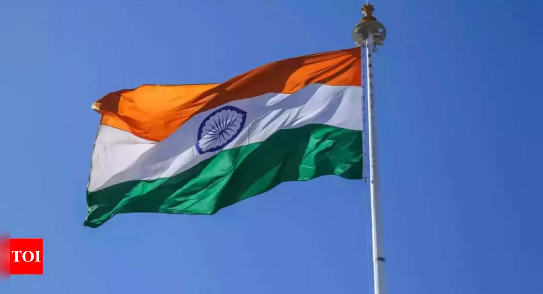 How to buy flag online: ePostoffice, Amazon and other places you can buy Tiranga this Independence Day - Times of India (Picture 1)