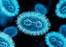 You may have Monkeypox symptoms in THIS order
