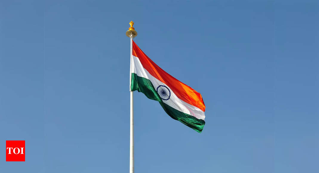 Indian flag as profile picture for Har Ghar Tiranga: How to get it right on Instagram, Facebook,Twitter - Times of India (Picture 1)