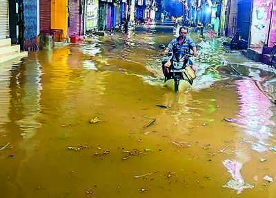 25 houses damaged, 30 trees fall in Madurai rain havoc
