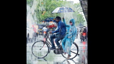 Maharashtra: At 564.8mm, Vidharbha gets highest July rainfall in last 10 years