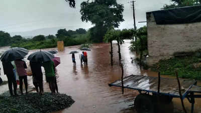 Rain wrecks havoc in north Karnataka; low-lying areas submerged