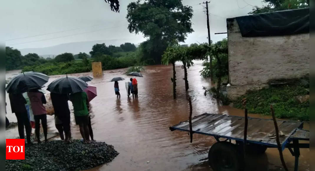 Rain in Karnataka: Rain wrecks havoc in north Karnataka; low-lying ...