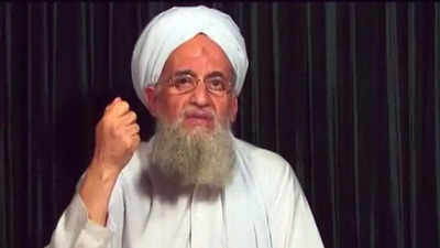 Opposed to counterterror ops at 'expense of sovereignty' of others: China on al-Zawahiri's killing