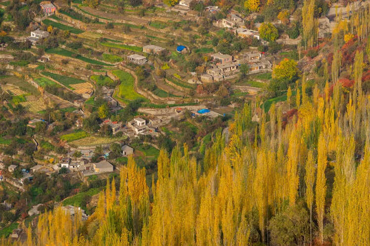 Pakistan