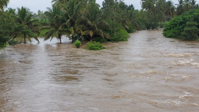 13 killed as heavy rains lash Karnataka and Kerala