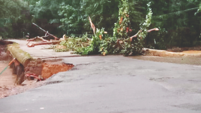 banner img