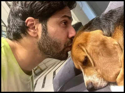 Varun Dhawan shares a paww-dorable video as he reunites with his pet dog Joey after 45 days: Couldn’t be happier to see my boy