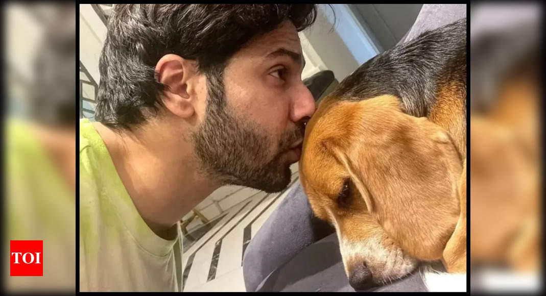 Varun Dhawan shares a paww-dorable video as he reunites with his pet dog Joey after 45 days: Couldn’t be happier to see my boy – Times of India