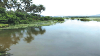 Nanda lake in Curchorem is Goa’s first Ramsar site