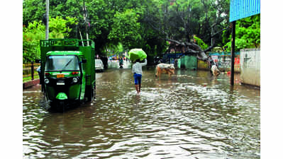 Heavy downpour lashes city; 48.2 mm rainfall recorded