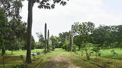 Devi Ahilya Vishwavidyalaya botanical garden to have medicinal plants & fruit trees