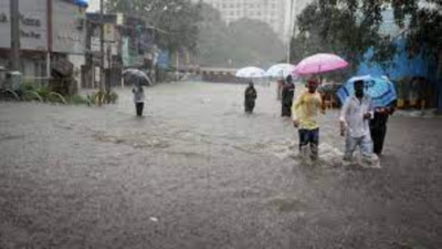 Chhattisgarh: Heavy rains increase risk of dengue, vector-borne diseases