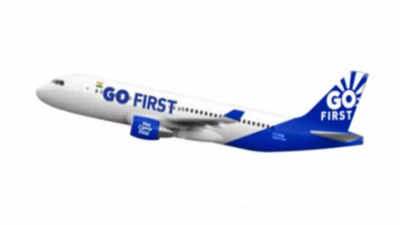 Chandigarh-bound Go First aircraft suffers bird hit, returns to Ahmedabad