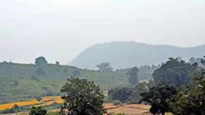 Odisha govt identifies over 26k acres for compensatory afforestation