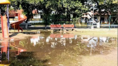 Mohali rainwater pools give mosquitoes breeding ground
