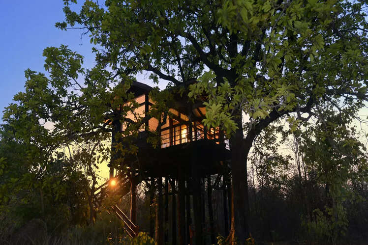 Tree House Hideaway - Bandhavgarh