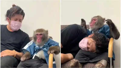 Watch: Video of monkey consoling emotional man goes viral