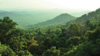 In 10-year roadmap, Vishwajit Rane plans safaris, wildlife camping in Goa