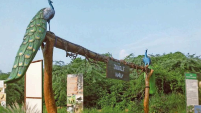 Into the wild: Jungle walk to start at Asola sanctuary