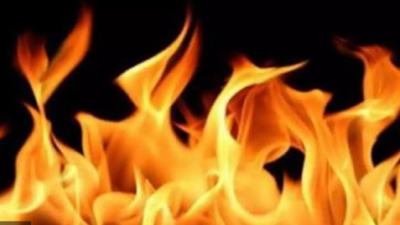 banner img