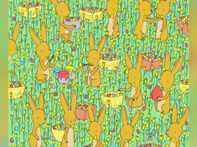Can you spot the chicken in 20 seconds?