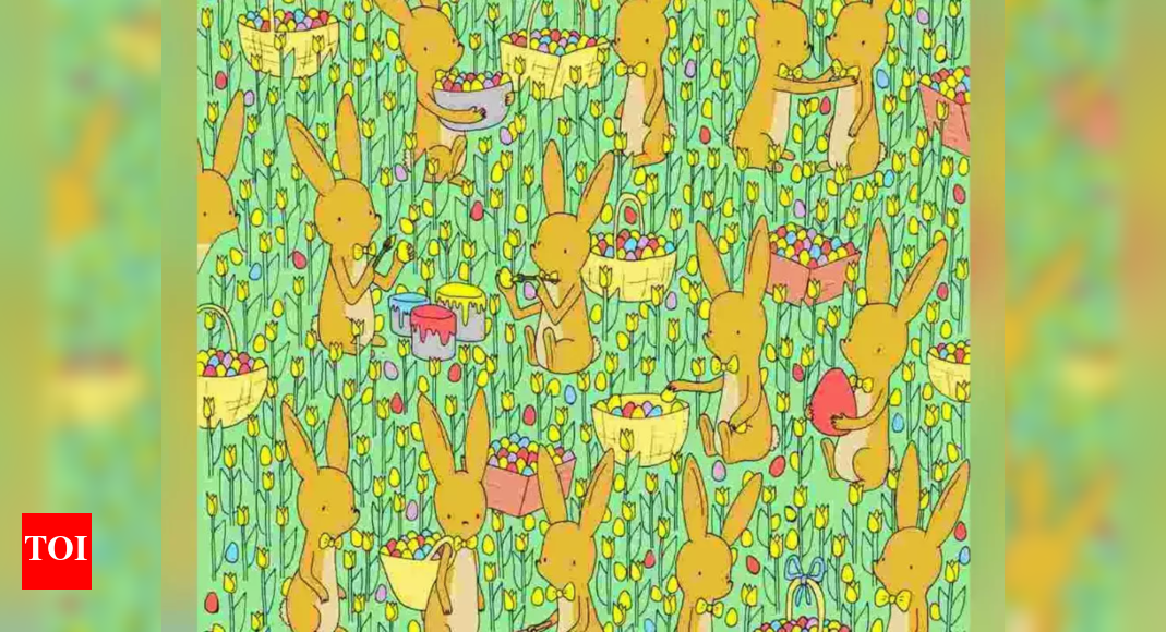Optical Illusion: Can you spot the chicken in 20 seconds? | - Times of ...