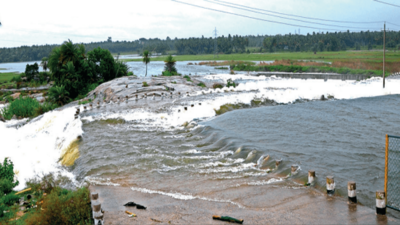 Karnataka: Tumakuru on alert as lakes filled to brim after 50 years
