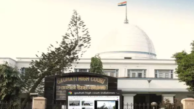Gauhati HC denies bail to youth held for supporting Ulfa