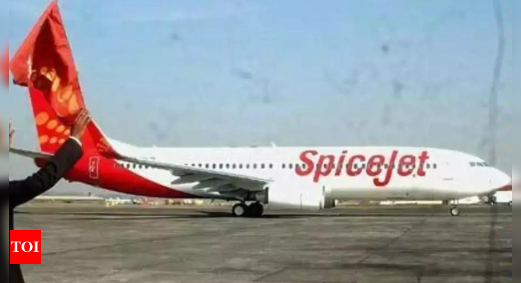 SpiceJet planes walk on the tarmac at Delhi Airport after waiting 45 minutes for the bus;  The DGCA probe starts