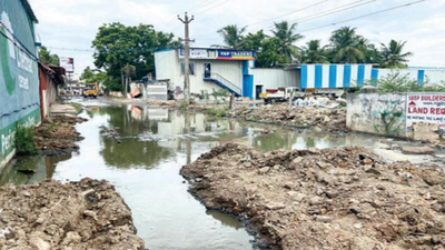 Chennai: Lens on civic body's sewage line into lake