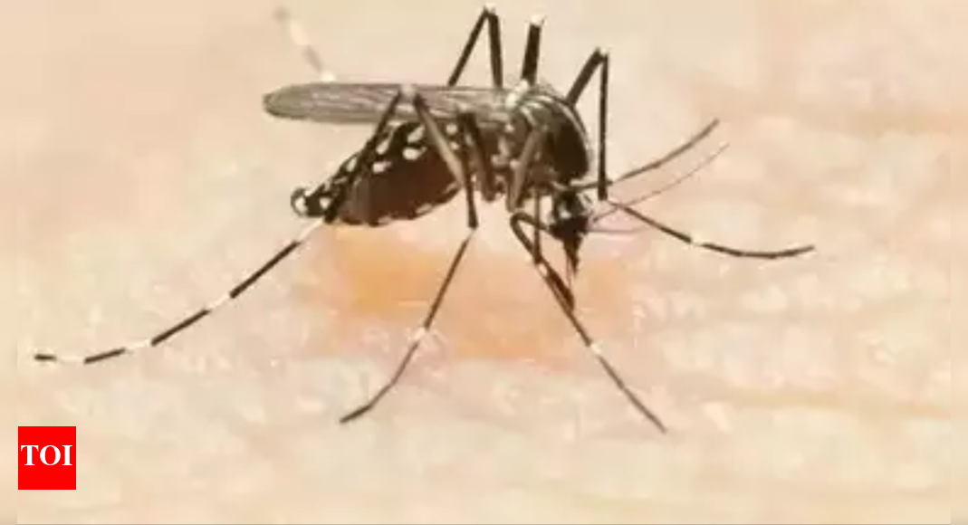3,000 dengue cases in West Bengal in last 1 week