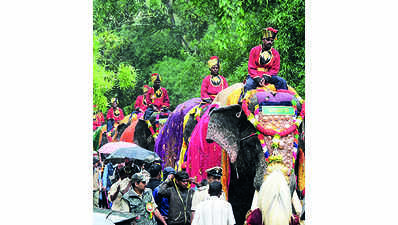 First batch of Dasara elephants arrives in style