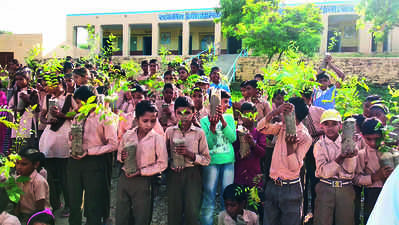Plants named after students in Rajasthan's Pali