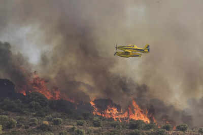 Over 4,000 hectares of land destroyed in wildfires in Spain