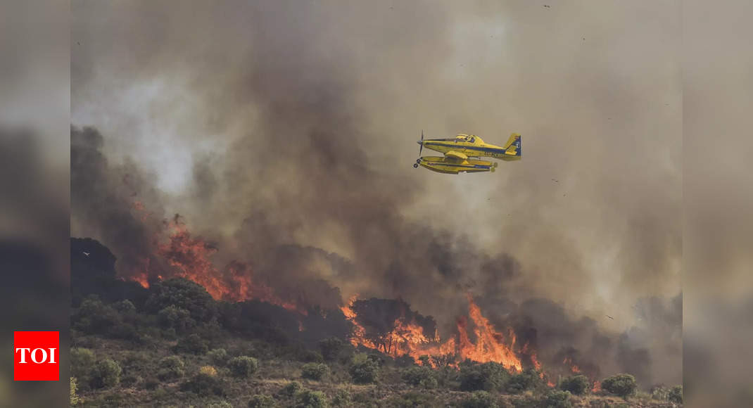 Over 4,000 hectares of land destroyed in wildfires in Spain