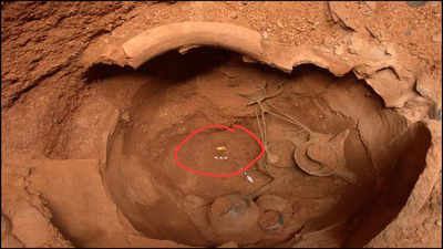 ASI ‘strikes gold’ at TN’s Adichanallur ancient site, finds diadem described by British archaeologist Alexander Rea