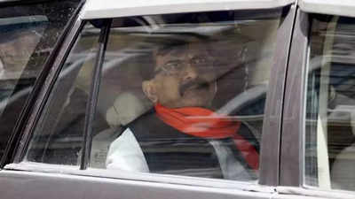 Sanjay Raut used proceeds of crime to buy Alibaug land, sellers confirmed: ED