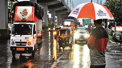 Northeast sees driest July in 122 years with 45% deficit rainfall: IMD