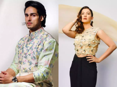 Priyank to Gauahar: Celebs who got attacked