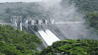 Kerala: Periyar water level remains below danger mark