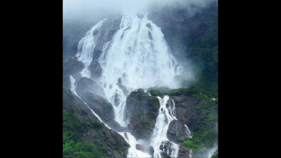 Waterfalls across Goa to get bio-toilets, lifeguards: Forest minister Vishwajit Rane