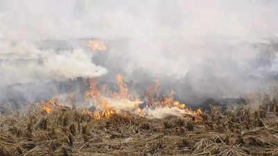 Will Delhi-NCR choke on Punjab farm fires? Funds up in the air, so stubble smoke may rise too